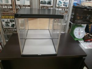 コレクションケースをお買取りさせて頂きました！！
