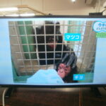 液晶テレビ TOSHIBA REGZAをお買取りさせて頂きました！！
