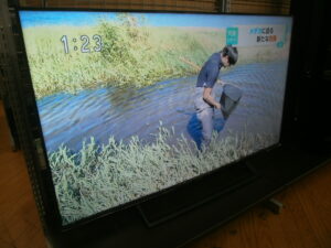 Hisense　50型液晶テレビをお買取りさせて頂きました！！